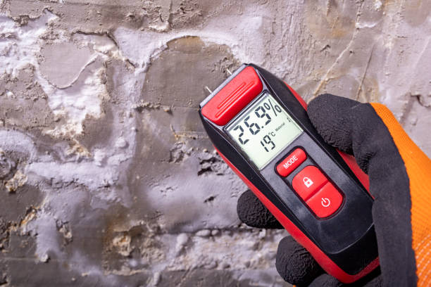 Best Mold Remediation for Schools in Anton, TX